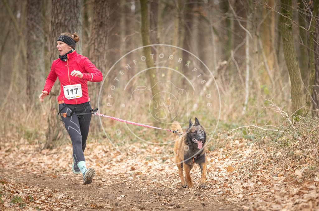 Pfotenfotografie_DV3A7728 | Hundefotografie, Tierfotograf, Pfotenfotografie, Fotoshooting Hund, Hunde Portrait, Hundesport, Hundeportraits, Heideshooting, Hunde, Sportfotograf, Hundefotograf, Turnierhundsport, THS,  - Realisiert mit Pictrs.com