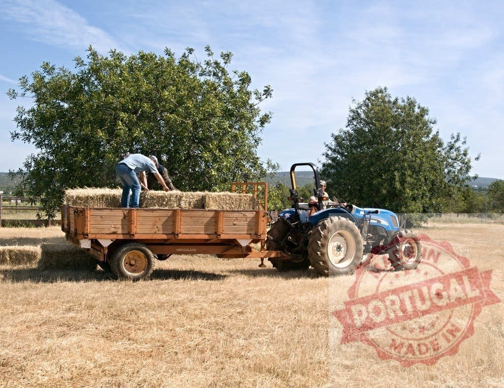 Farmers loading hay bales onto trailer with tractor | Farmers manually loading dry hay bales onto a wooden trailer pulled by a tractor in a summer field - Realisiert mit Pictrs.com