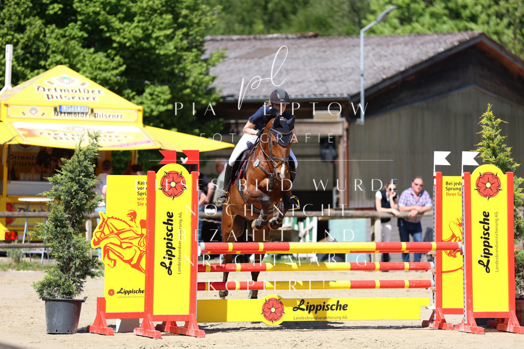 IMGS7471 | pl-fotografie