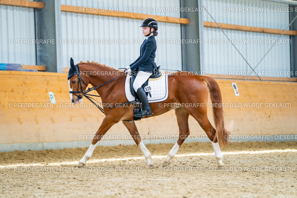 DSC09667 | Pferdegrafie