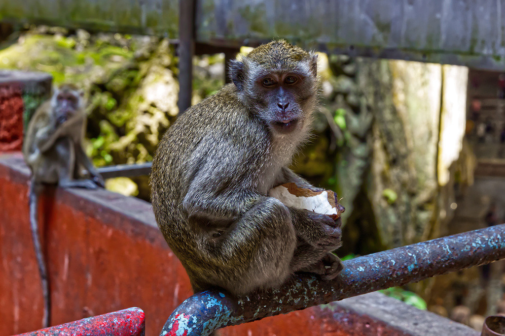 1H5A0431 | ansichtssache