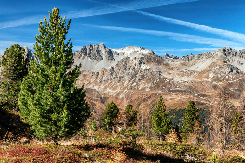 P2410081 | Professioneller Fotograf - Bildbestellung online - Wandbilder vom Profi für ihr Zuhause, Büro, Praxis, Firma - große Auswahl an Materialien und Formaten, über 1400 regionale Motive
