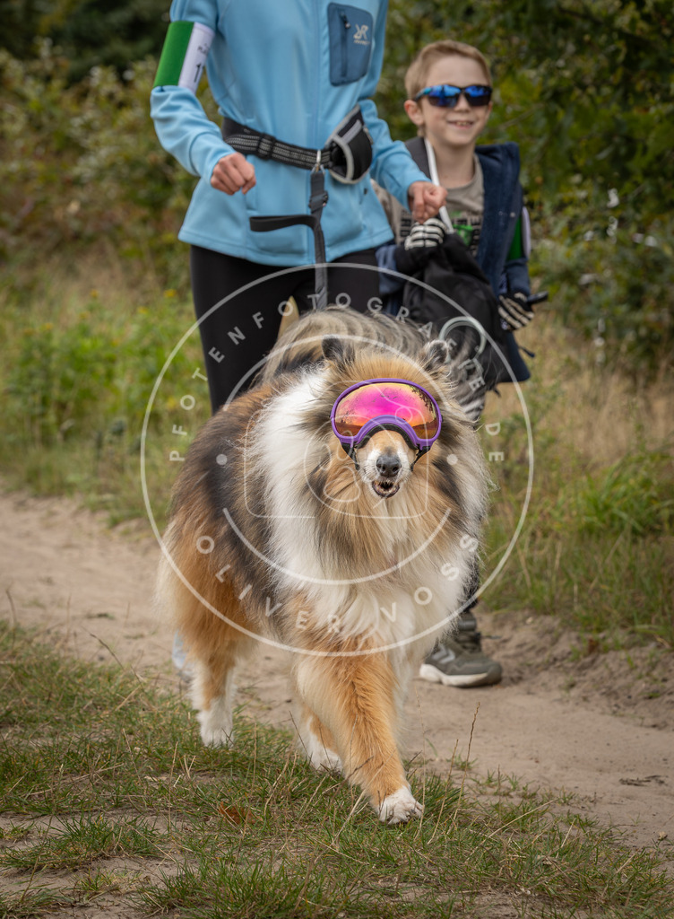 Pfotenfotografie_DV3A7383 | Hundefotografie, Tierfotograf, Pfotenfotografie, Fotoshooting Hund, Hunde Portrait, Hundesport, Hundeportraits, Heideshooting, Hunde, Sportfotograf, Hundefotograf, Turnierhundsport, THS,  - Realisiert mit Pictrs.com