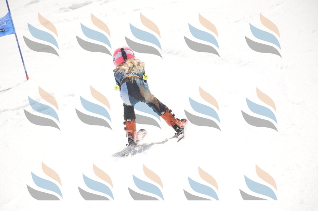 _ELE9322 | holidayphoto