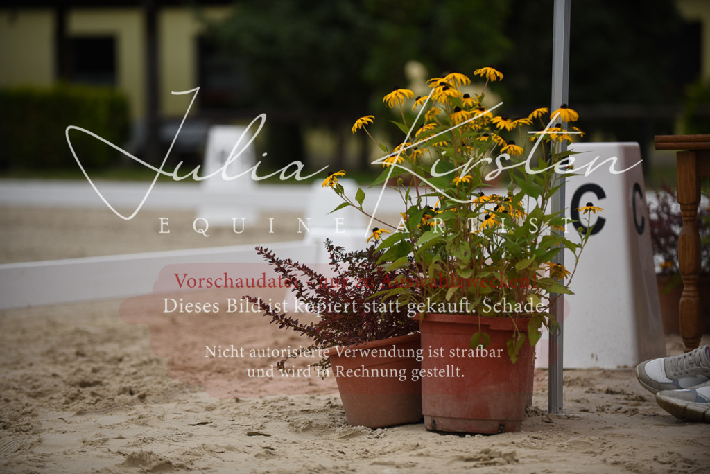 DSC_7899 | Pferde- und Turnierfotografie in Westsachsen. Pferdeportraits, Auftragszeichnungen und intuitive Kunst.