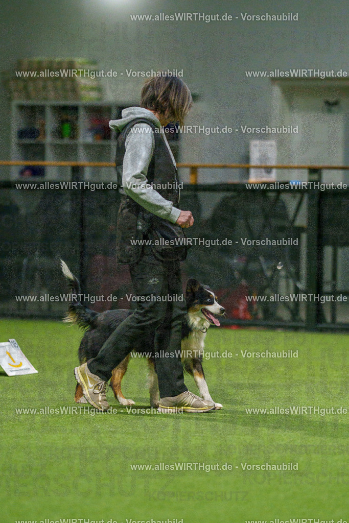 7R509014 | Professionelle Tierfotografie in Mönchengladbach von Daniel Wirth (allesWIRTHgut). Liebevolle & natürliche Bilder von Hunden & Katzen für unvergessliche Erinnerungen.