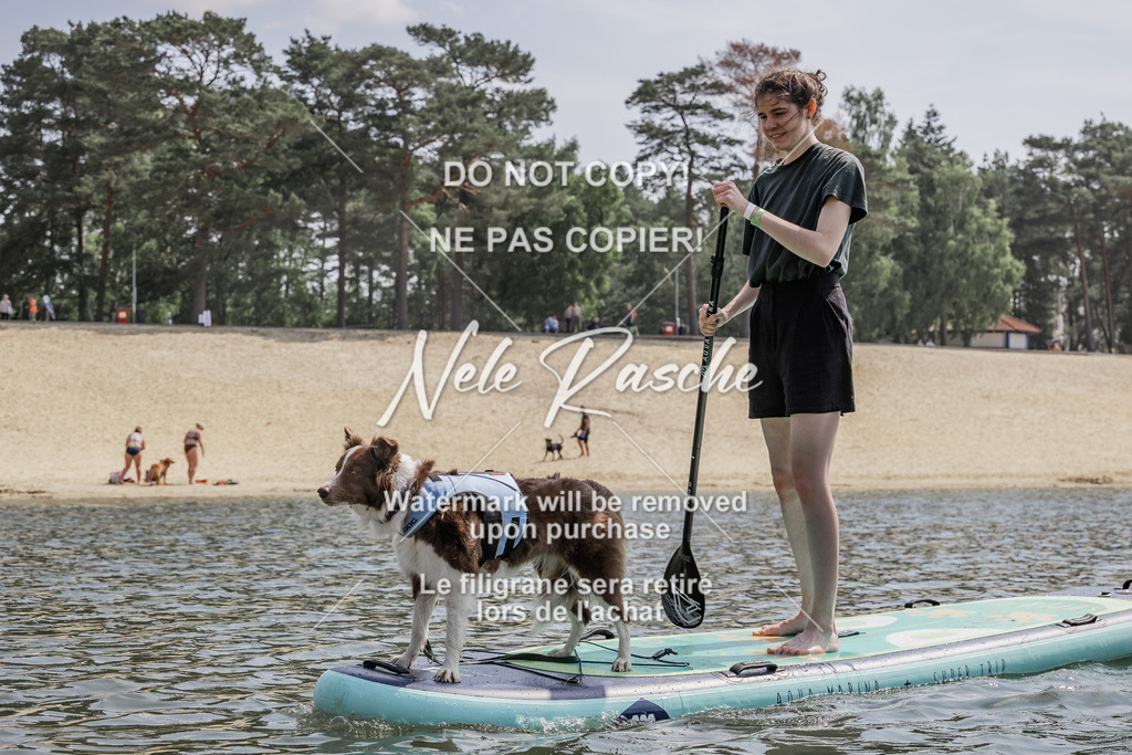 BUHU_SUP_609 | nelerasche
