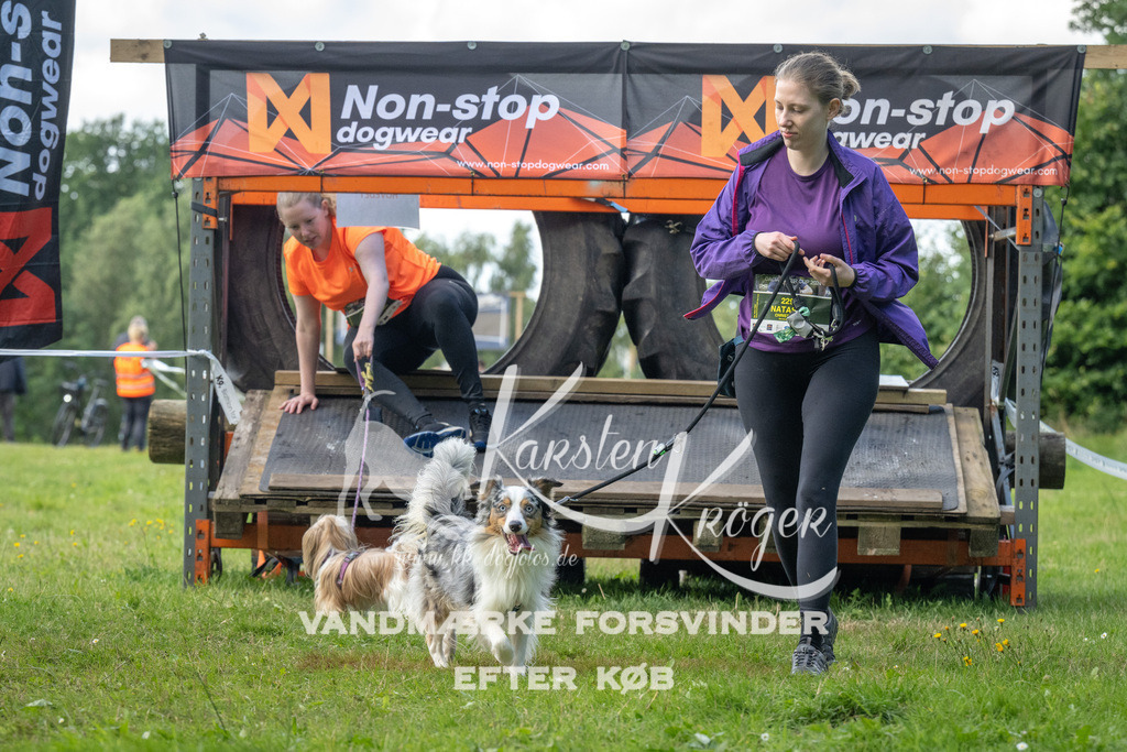 1553_ZZ94781 | kk-dogfotos