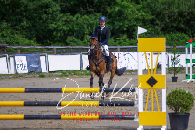 DKP41346 | Turniersportfotografie; Pferdefotografie; Dressurfotografie