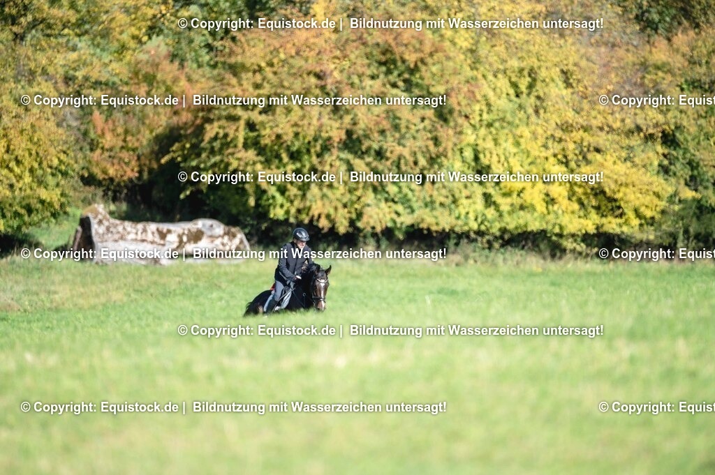 20251011_Jagd-Marbach_0329 | Foto: Thomas Hartig