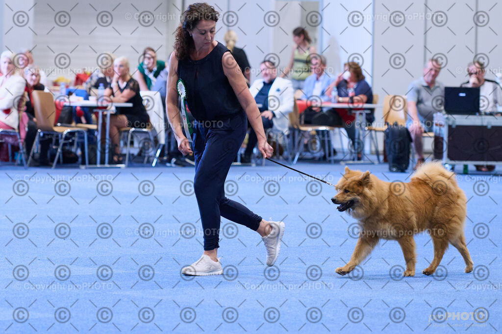 202406_ÖKV-IHA-Tulln24_DSC_3926 | proPHOTO - Realisiert mit Pictrs.com