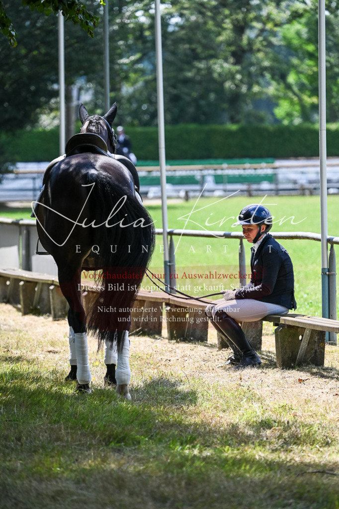 DSC_2747 | Pferde- und Turnierfotografie in Westsachsen. Pferdeportraits, Auftragszeichnungen und intuitive Kunst.