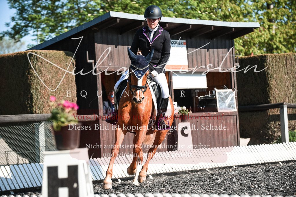 DSC_8430 | Pferde- und Turnierfotografie in Westsachsen. Pferdeportraits, Auftragszeichnungen und intuitive Kunst.