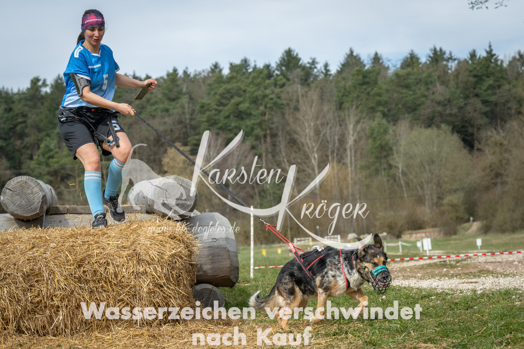 1131_ZZ97566 | kk-dogfotos