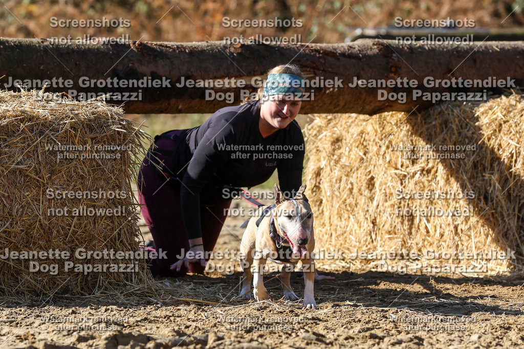 Dog Paparazzi - Strongdog 10-25-4653 | Dog Paparazzi Jeanette Grottendiek Fotografie & Videografie - Realisiert mit Pictrs.com