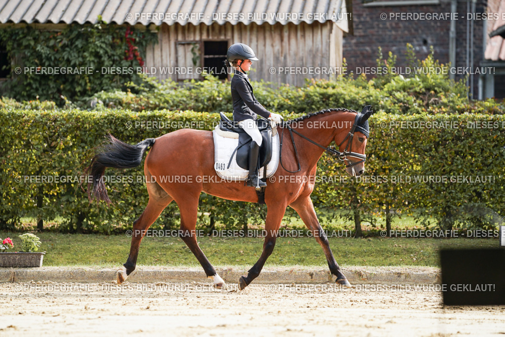 DSC04036 | Pferdegrafie