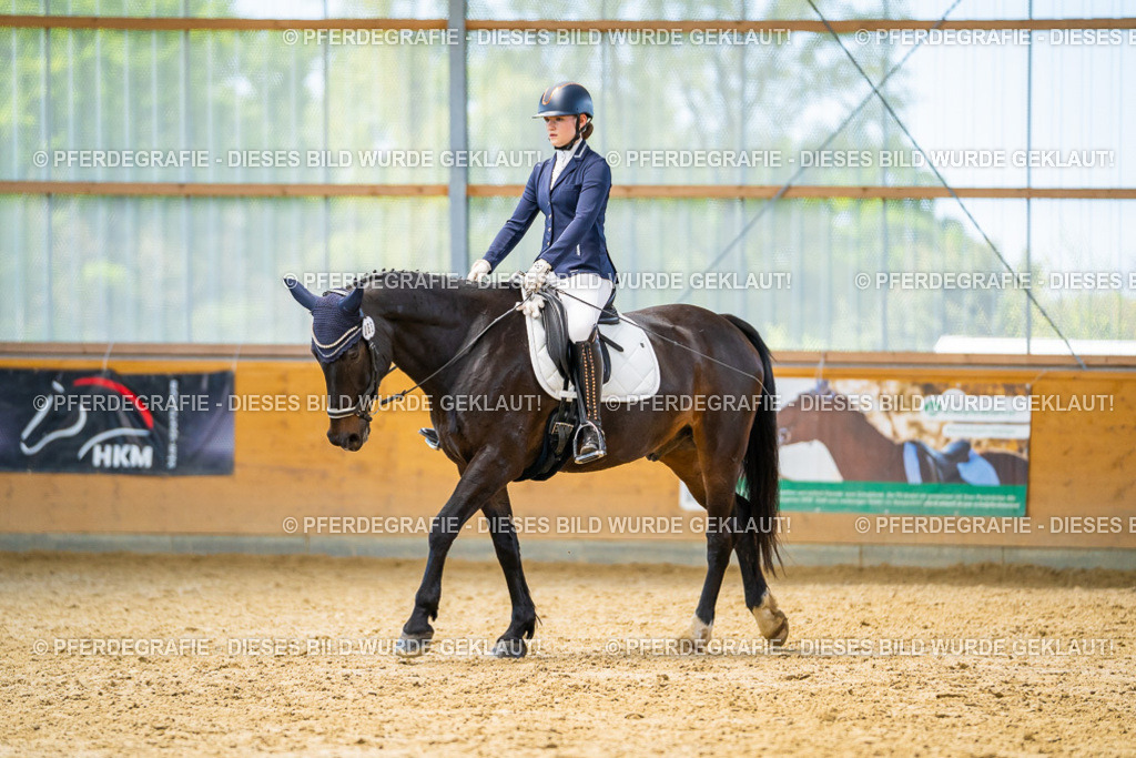 DSC08527 | Pferdegrafie