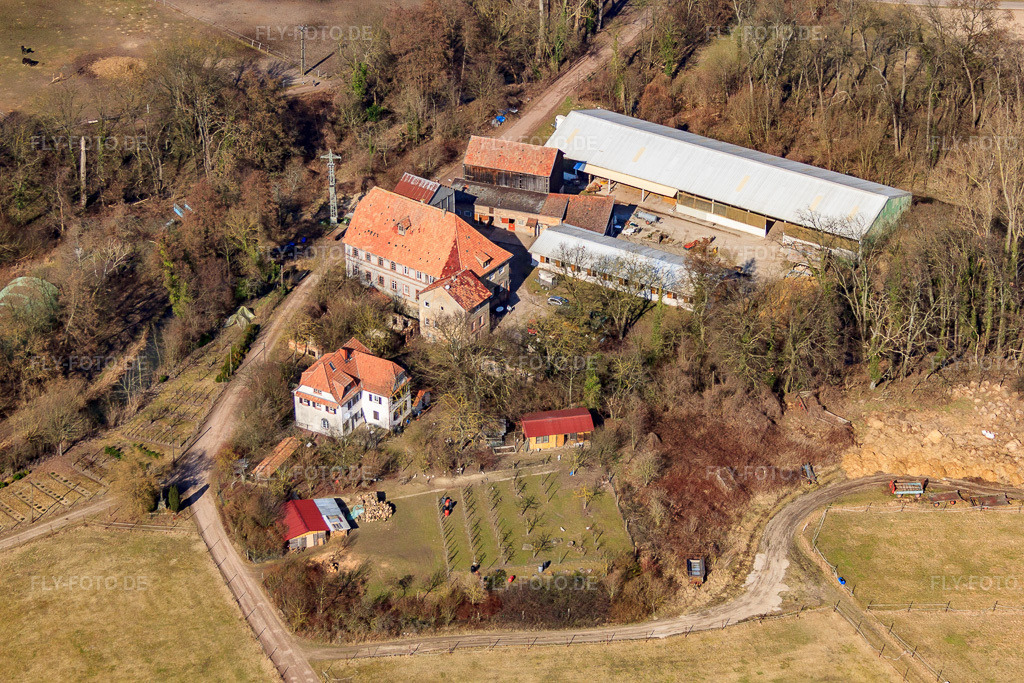 Luftbild: Wanzheimer Mühle in Rheinzabern im Bundesland Rheinland-Pfalz in Deutschland. Foto: IMG_48903.jpg vom 09.03.2012 durch Werner Riehm/FLY-FOTO.de