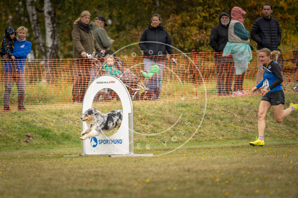 Pfotenfotografie_DV3A4525 | Hundefotografie, Tierfotograf, Pfotenfotografie, Fotoshooting Hund, Hunde Portrait, Hundesport, Hundeportraits, Heideshooting, Hunde, Sportfotograf, Hundefotograf, Turnierhundsport, THS,  - Realisiert mit Pictrs.com