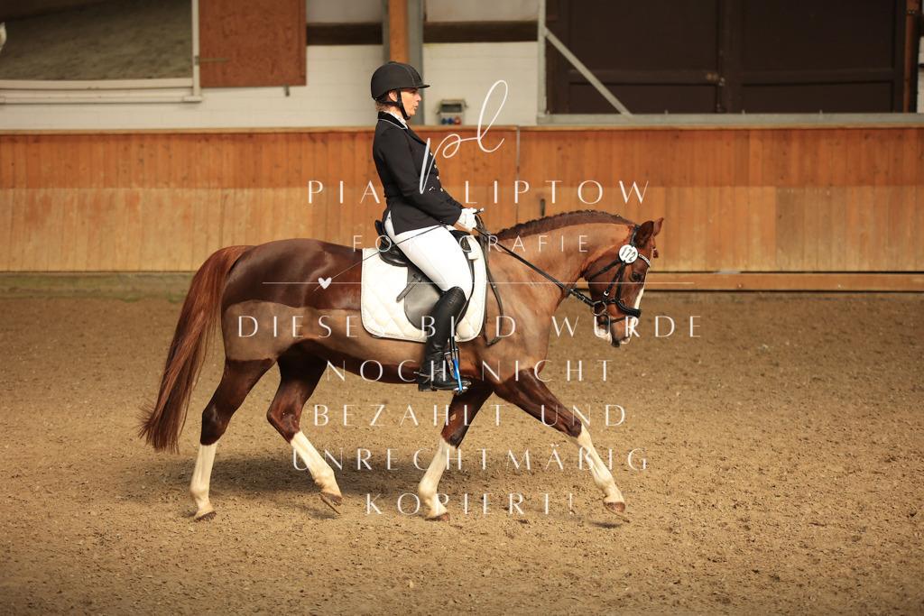 IMGT5089 | pl-fotografie