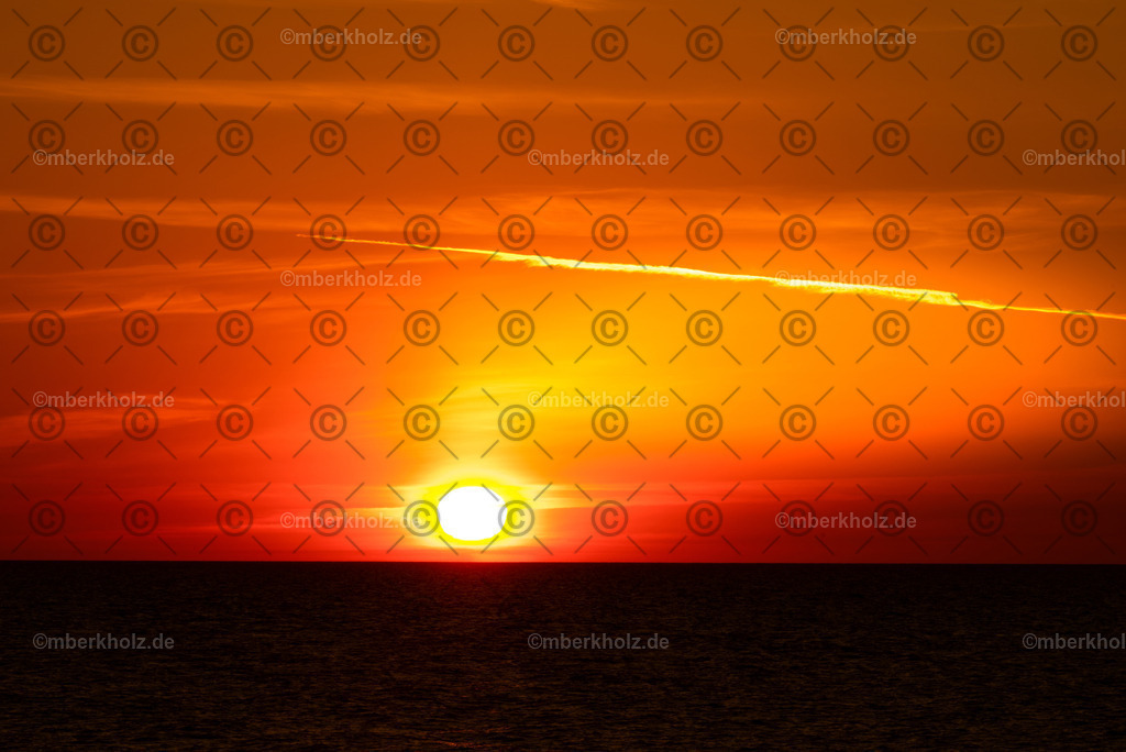 Marko_Berkholz_mberkholz_gespensterwald_MBE7600 | Bildkunst Warnemünde, Fotokunst Warnemünde, Fotostudio Rostock Warnemünde, Technologiecampus, Onlinedruckerei, Fotokunst Warnemünde, Ostseebad Warnemünde 