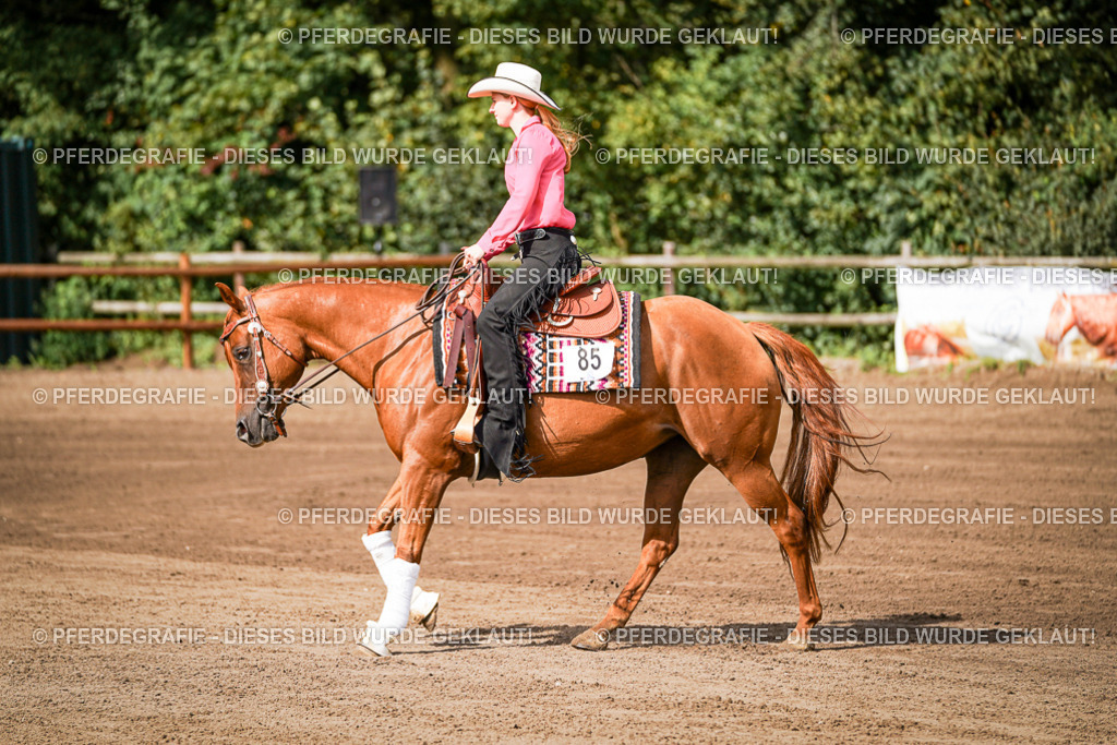 DSC09334 | Pferdegrafie