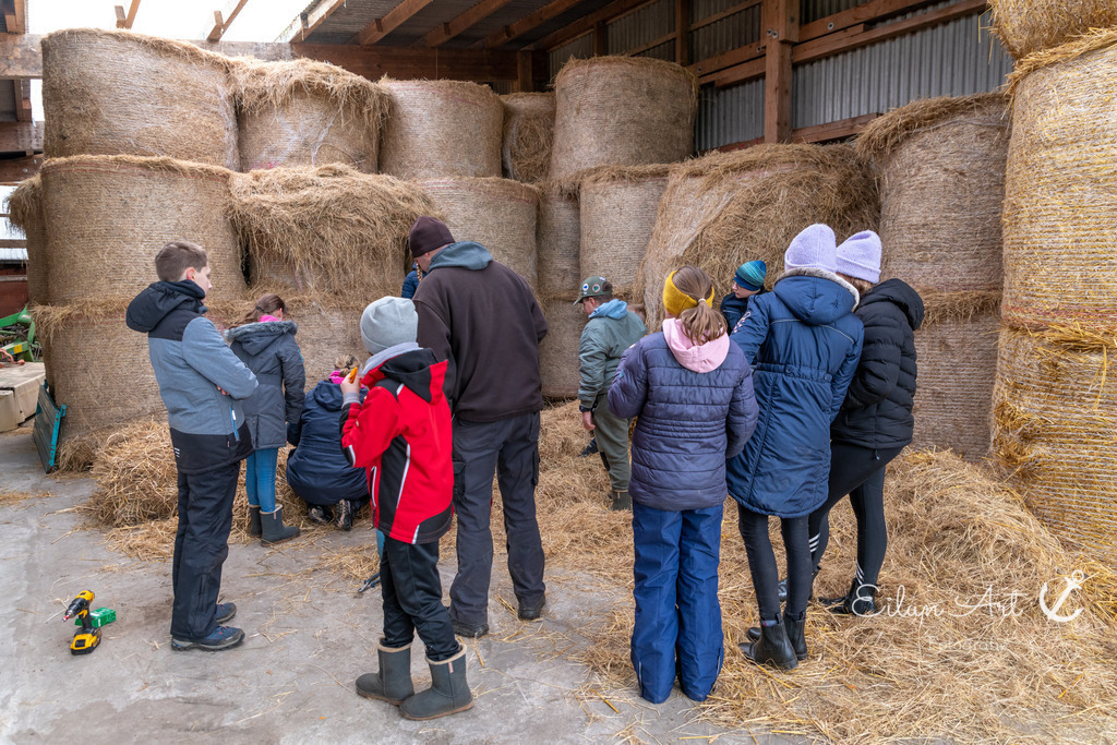 EAF_2256 | Eilun-Art-Fotografie Levke Martens, ihre Fotografin für Immobilien- und Landschaftsfotografie auf Föhr, Föhrer Motive als Poster, Leinwand, hinter Acrylglas oder stelle dir deinen eigenen Monatskalender zusammen, mit nur einem Klick