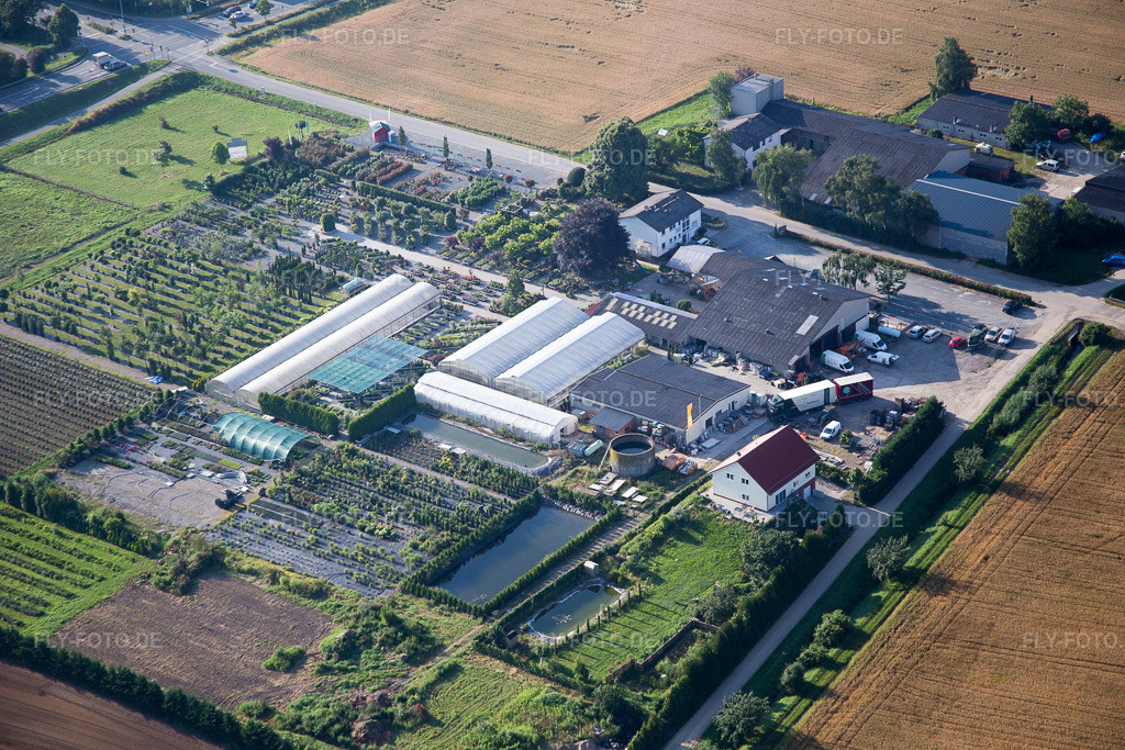 Luftbild: Glasdach- Flächen in den Gewächshausreihen zur Blumenzucht Lindenhof im Ortsteil Auerbach in Bensheim im Bundesland Hessen in Deutschland. Foto: IMG_091445.jpg vom 07.07.2016 durch Werner Riehm/FLY-FOTO.de