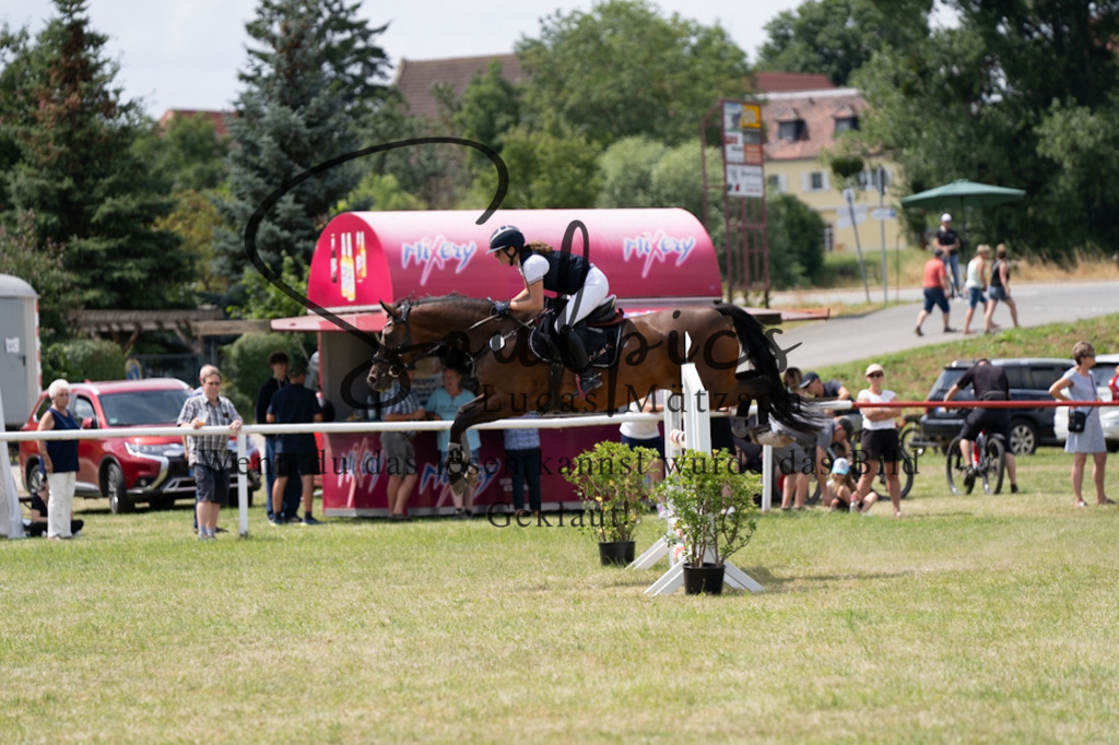 A7V01971 | Pferdefotograf