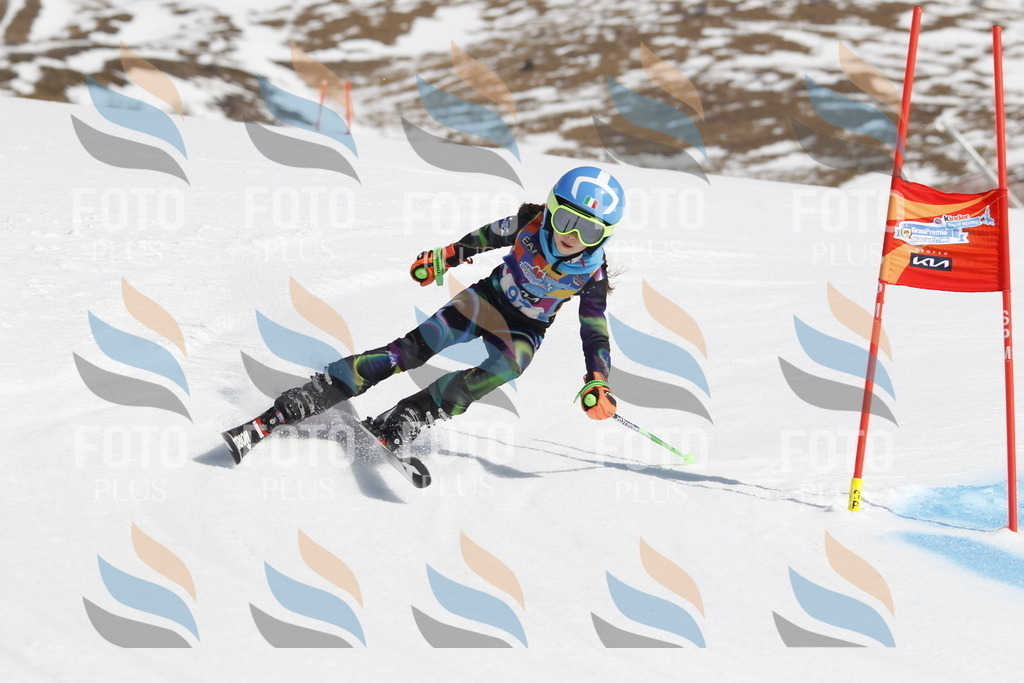 _U3G0274 | holidayphoto