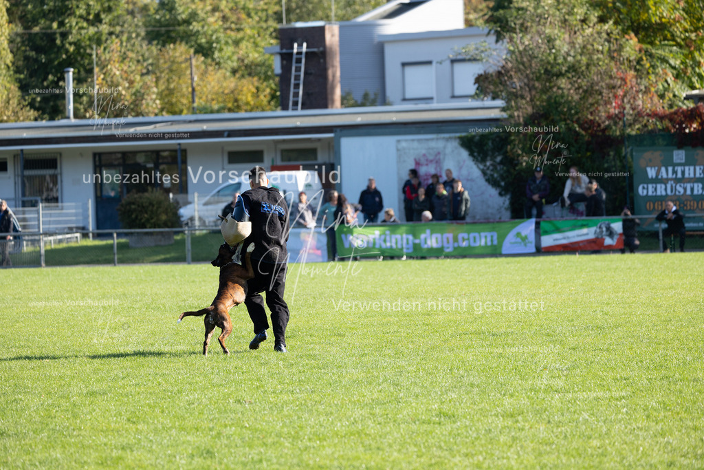 _16A5116 | Einzigartige Fotos von Hunden & Menschen –Actionfotos, Portraits, Vereinsaufnahmen & Paarshootings – authentisch, lebendig & mit Herz.