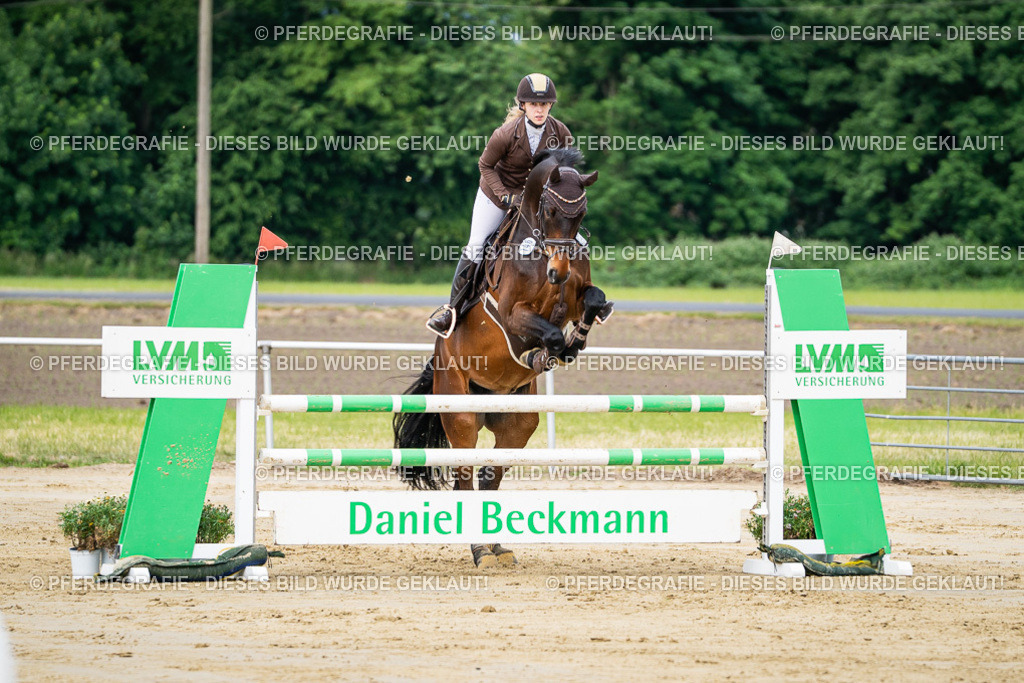 DSC03822 | Pferdegrafie