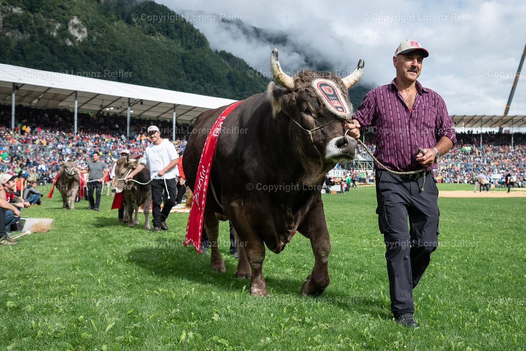 Schwingen -  ESAF 2025 Samstag | Mollis, 30.8.25, Schwingen - ESAF Samstag.