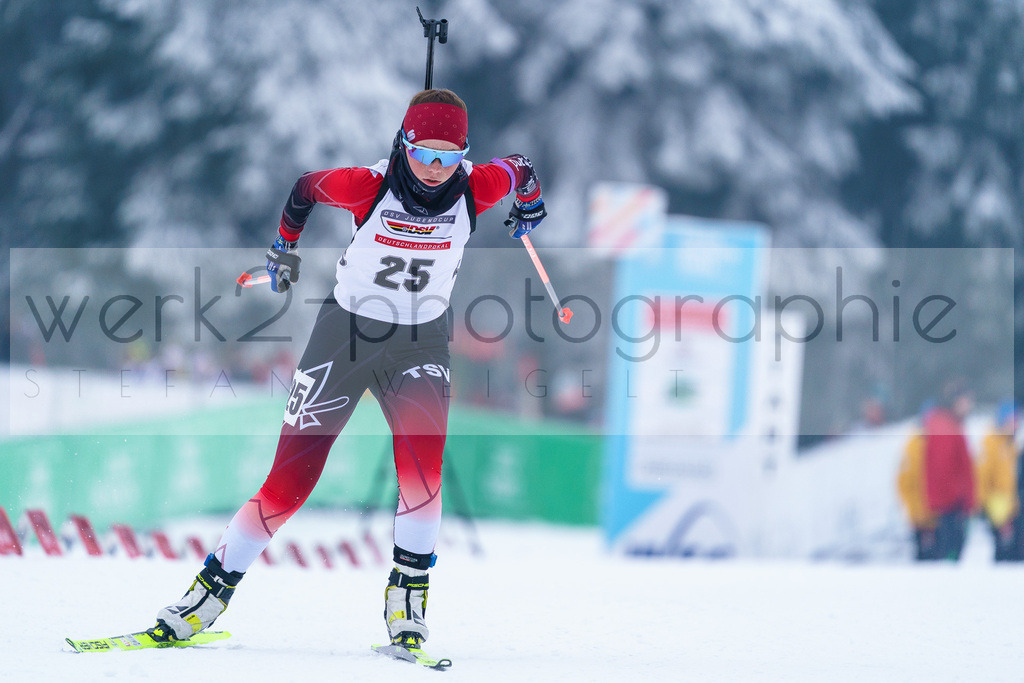 DP Oberwiesenthal | Alpencup/DP Deutschlandpokal in Oberwiesenthal am 15.-17.12.2023