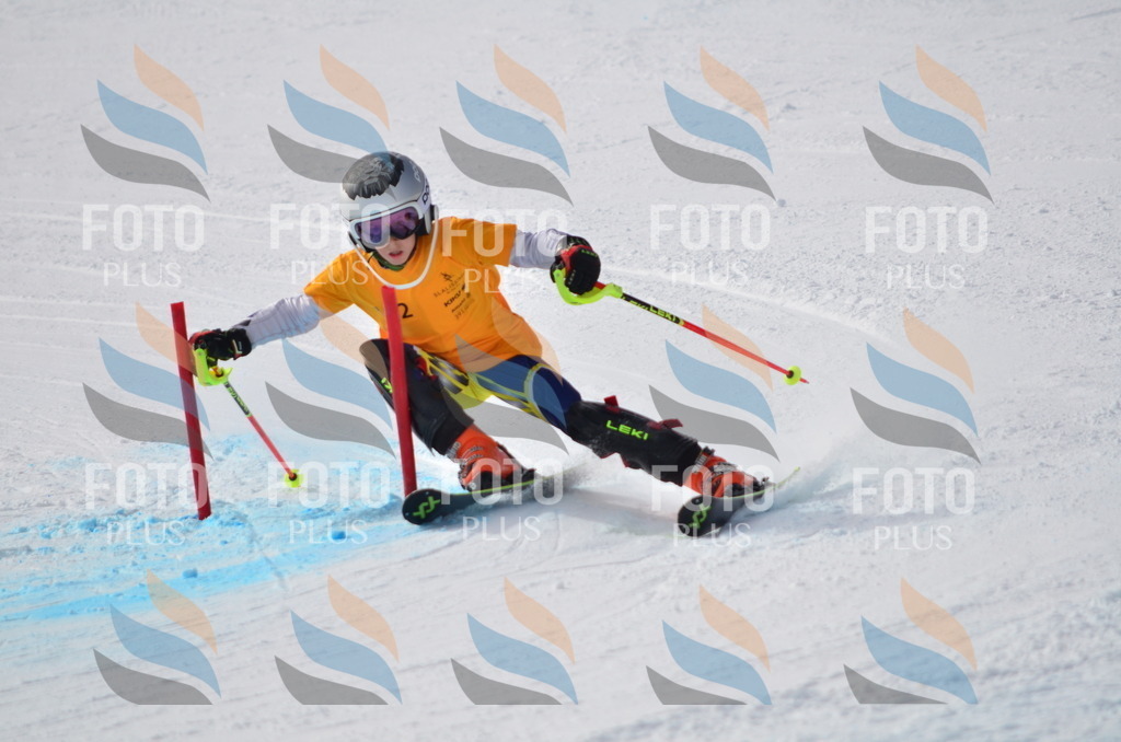 C8067 | holidayphoto