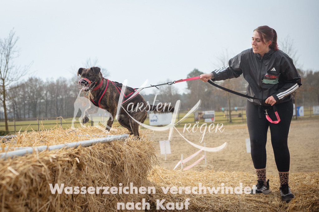 1047_ZZ99393 | kk-dogfotos