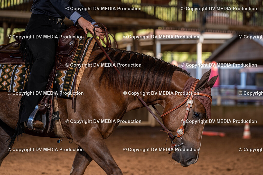 Erbach Tag 2-03 | dv-media-shop - Realisiert mit Pictrs.com