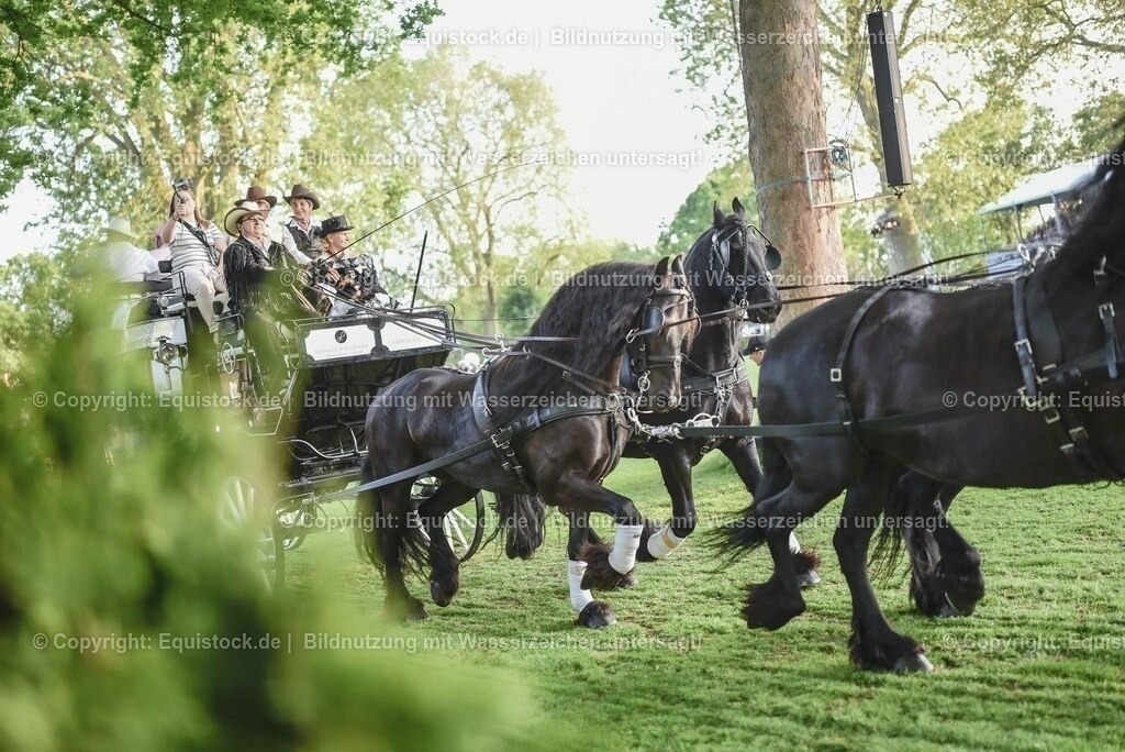 20230526_Pferdenacht_0145 | equistock
