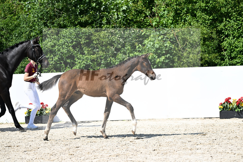 Uni I x Chezarro_HF_Wittlinger_13251653 | hf-fotografie - Realizzato con Pictrs.com