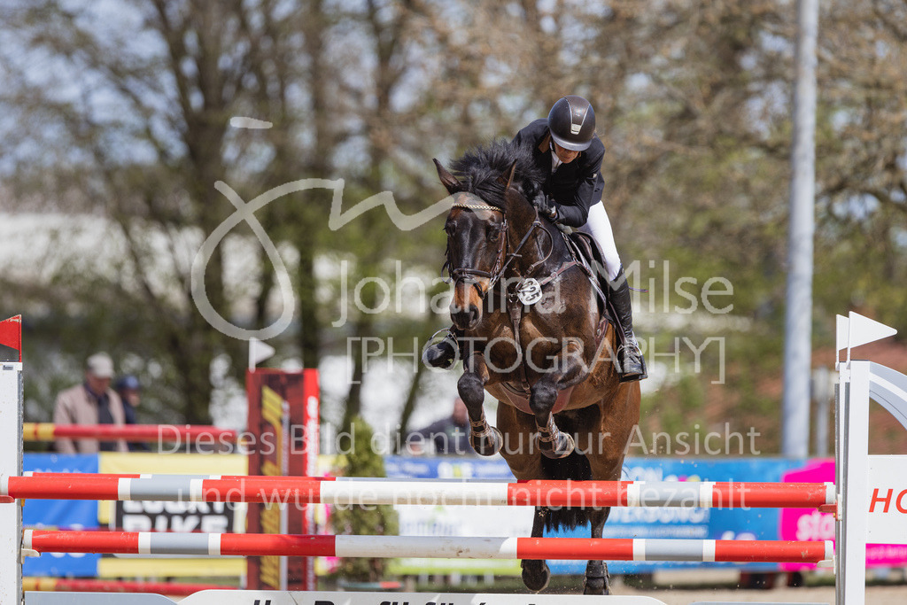 230501_SpengeW_M2St-183 | Deine schönsten Turniermomente als professionelle Fotos! Entdecke hochwertige Pferdesport-Fotografie im Online-Shop. Jetzt Fotos finden & bestellen!