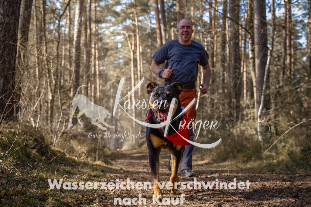 1316_ZZ94565-Bearbeitet | kk-dogfotos