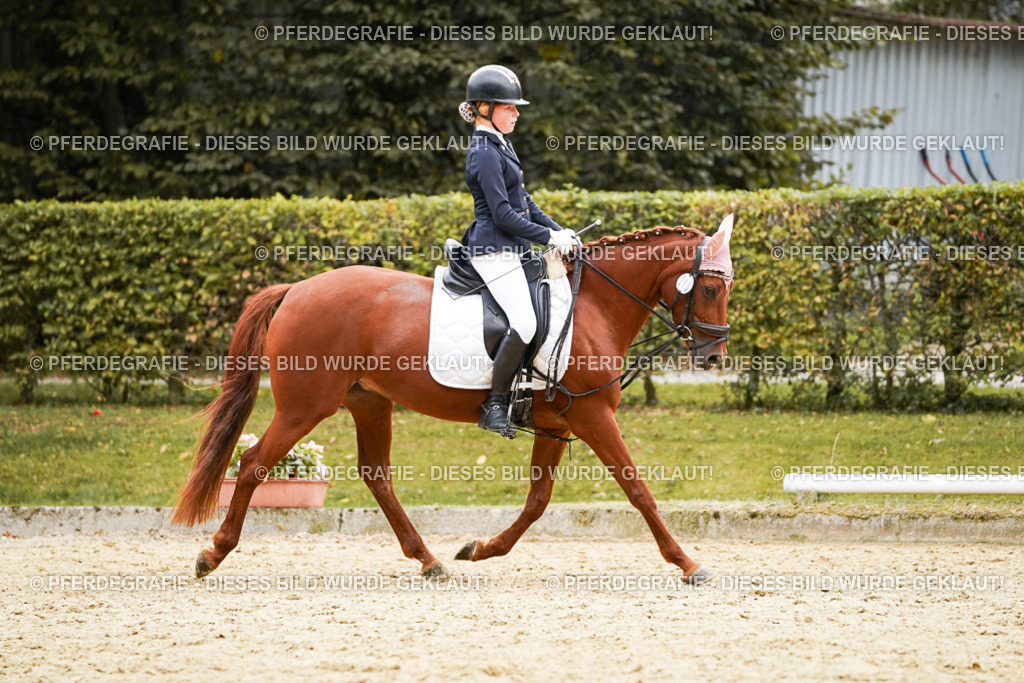 DSC09814 | Pferdegrafie