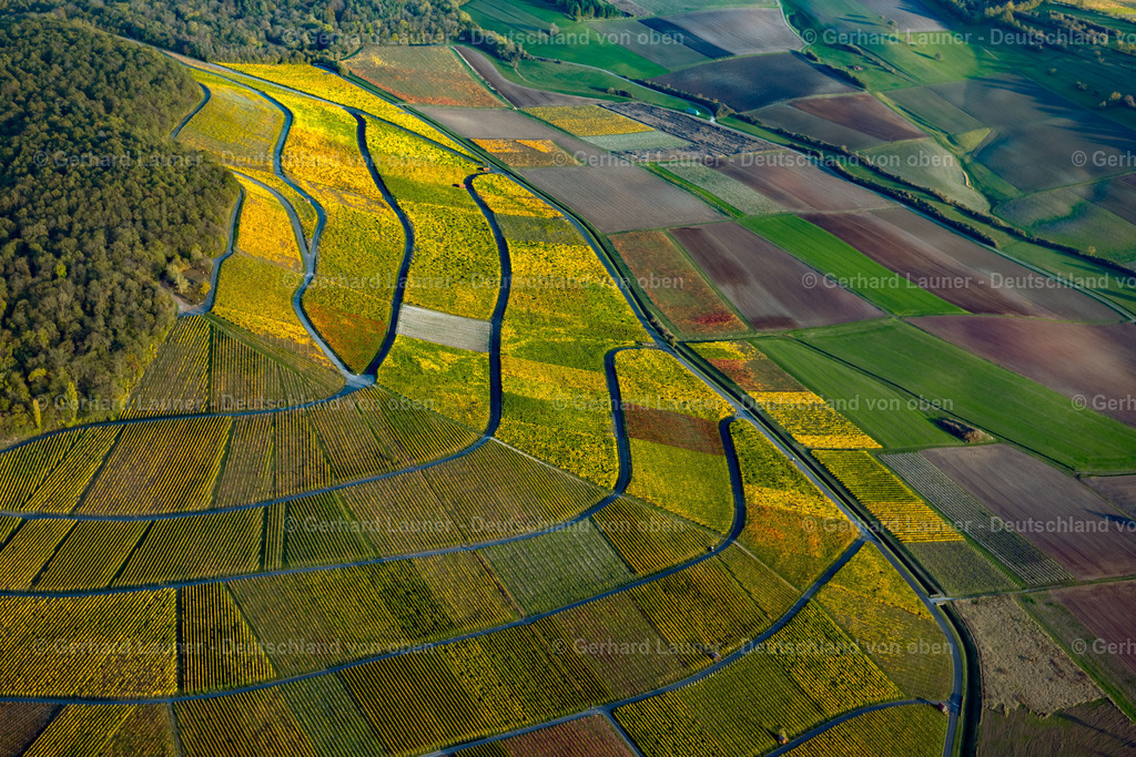 3905512 | Weinberge am Busigberg Großheubach