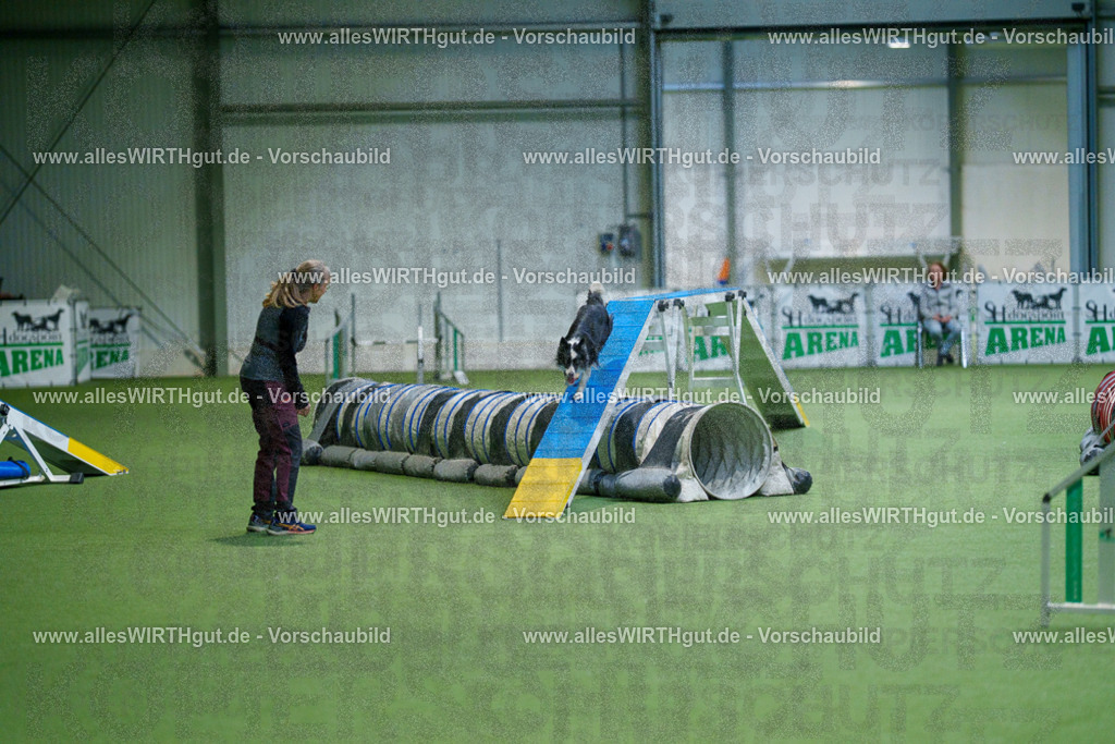 @allesWIRTHgut_Tierfotografie - www.allesWIRTHgut.de - 2604250817-7R506130 | Professionelle Tierfotografie in Mönchengladbach von Daniel Wirth (allesWIRTHgut). Liebevolle & natürliche Bilder von Hunden & Katzen für unvergessliche Erinnerungen.