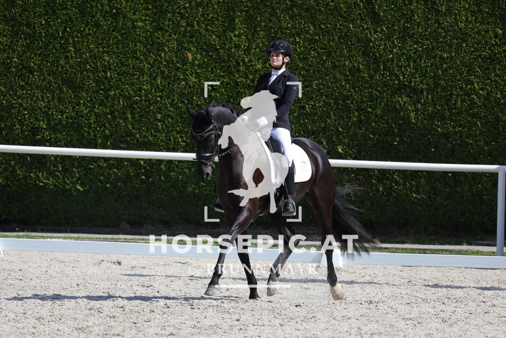 0P6A7663 | Willkommen bei Brunnmayr - Design & Fotografie – Ihrem Spezialisten für Reitturniere und Pferdeveranstaltungen in Oberösterreich, Salzburg und Bayern! Seit über 17 Jahren sind wir leidenschaftlich dabei.