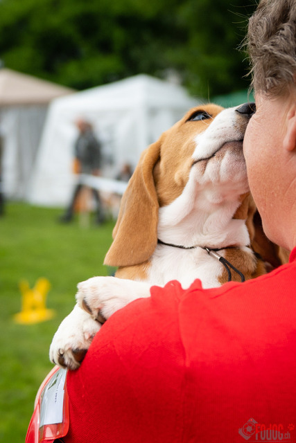 Clubsiegershow BCS  | Clubsiegershow BCS in Villmergen. 14.05.2023 Foto: Leo Wyden