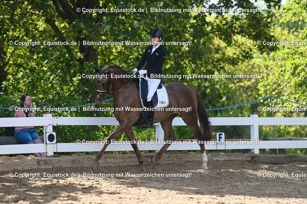 20230715_06_Dressurpferdeprfg. Kl.A_0433 | equistock