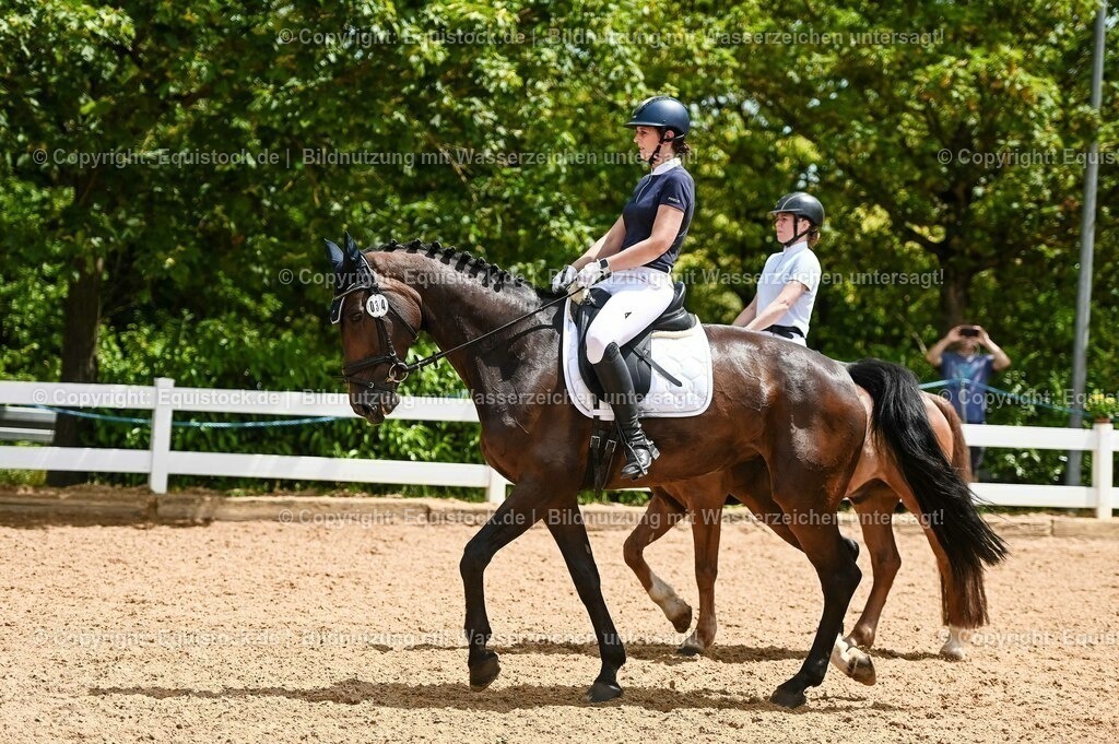 20230715_05_Dressurprüfung Kl.A++_0194 | equistock