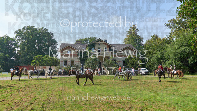 09-23 JAgd PerdölDSC02079_Marina Hewig | Fotografie, FotoArt, PferdesportArt, Pferdesportfotografie, Landschaftsfotografie, Reisefotografie, Reise, Pferde - Realisiert mit Pictrs.com