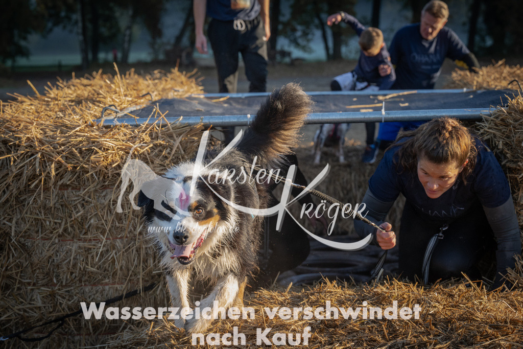 0905_ZZ91213 | kk-dogfotos